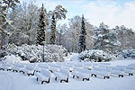 Bänke im Rhododendronpark im Winter