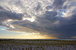Wolkenbruch am Strand