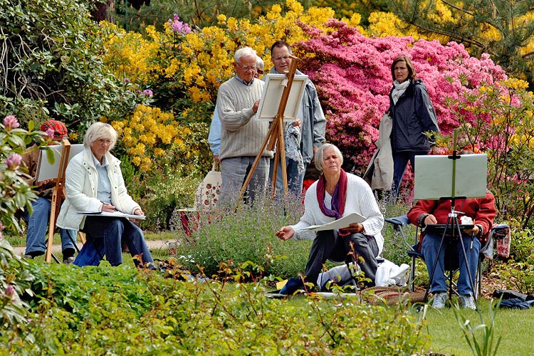 Rhododendronpark und Rhododendronparkfest Ostseeheilbad