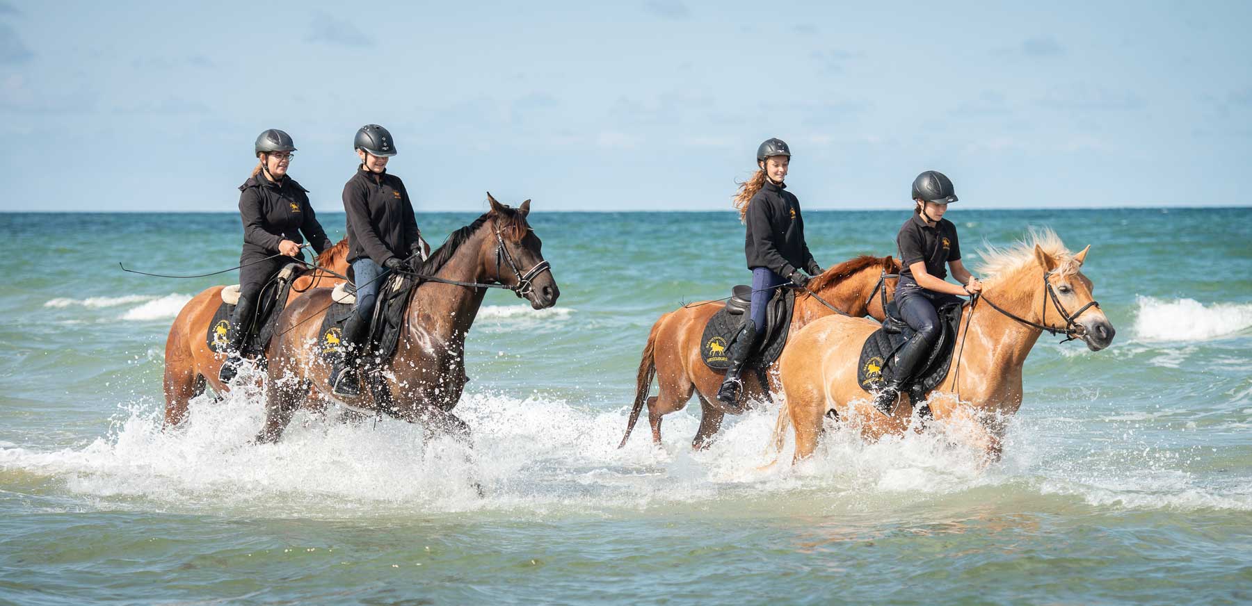 Reiten bei und mit den Bernsteinreitern