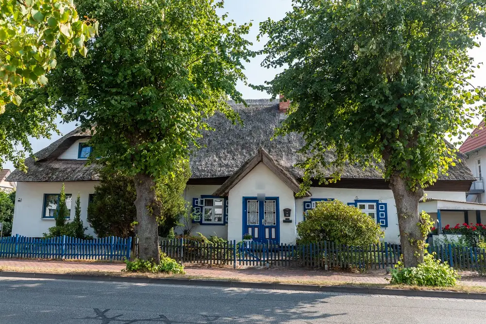 Weißes Büdnerhaus mit Reetdach, blauer Doppeltür und blauen Fensterläden zwischen zwei Linden, davor ein blauer Lattenzaun
