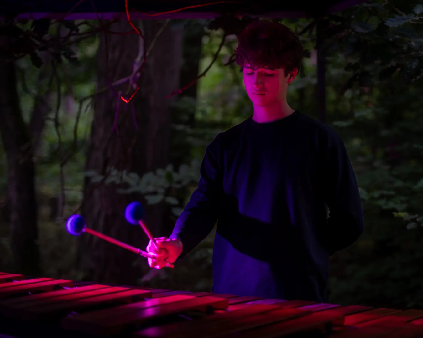 Musiker spielt Marimba im blauroten Licht des nächtlichen Waldes