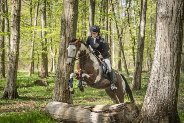 Symbolfoto: Reiterin auf einem gescheckten Pferd springt im lichten Frühlingswald über einen Baumstamm
