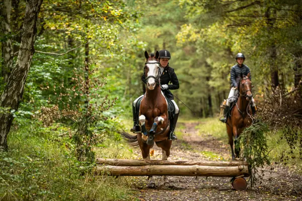 Eine Reiterin springt im Wald über einen Baumstamm, ein zweiter Reiter folgt
