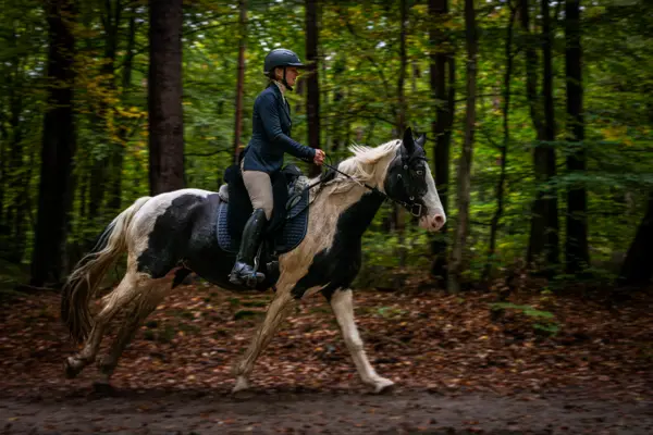 Eine Reiterin auf einem gescheckten Pferd galoppiert durch den Wald
