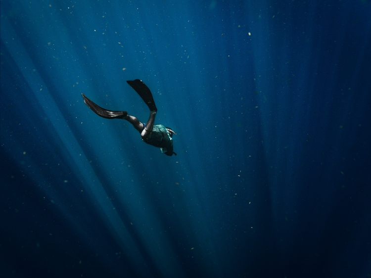 Dokumentarfilm  »Wallacea - Expedition zur Wiege der Meeresfauna«