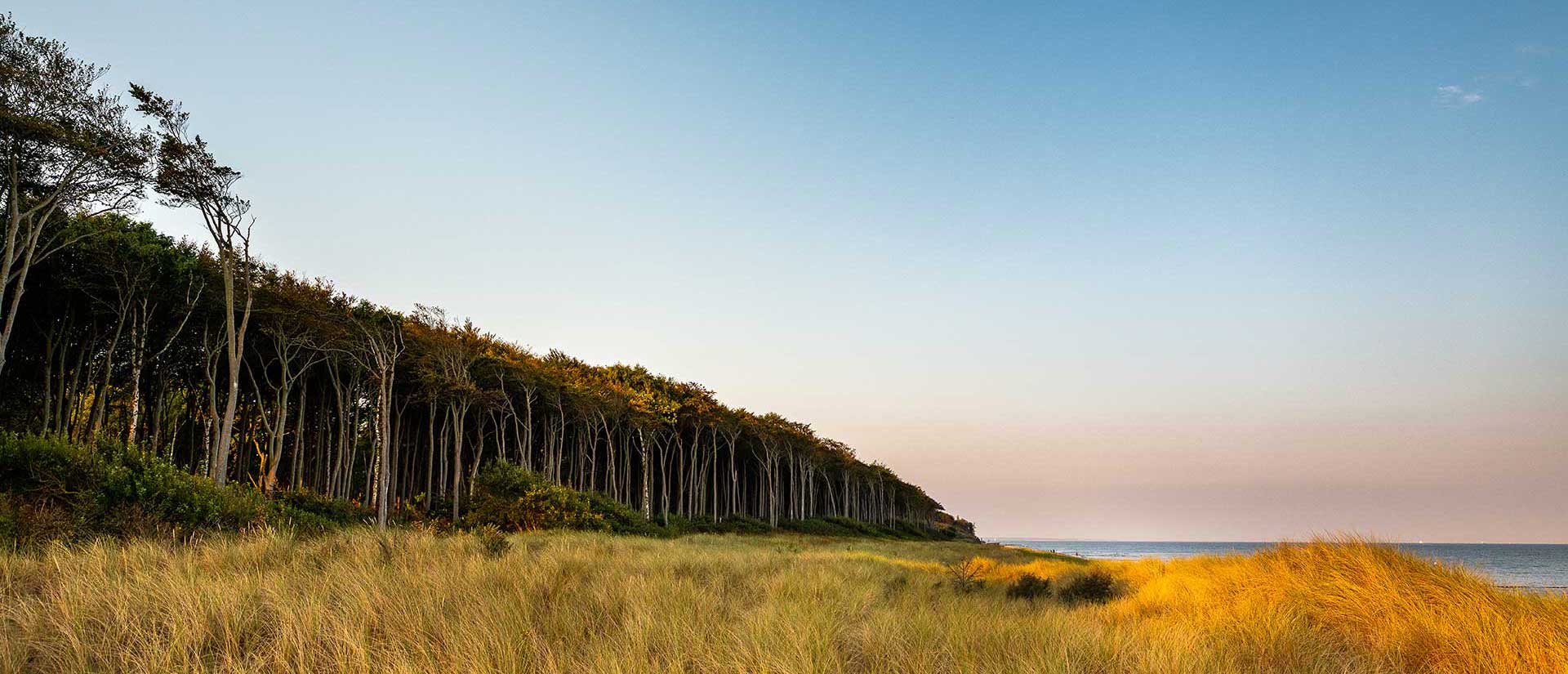 Ostseeheilbad Graal‑Müritz