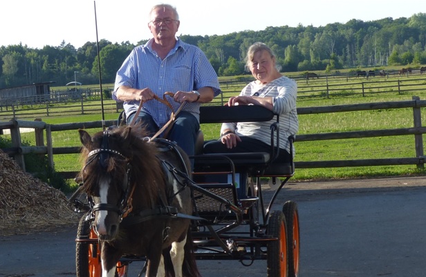 Ponykutschfahrten bei den Bernsteinreitern