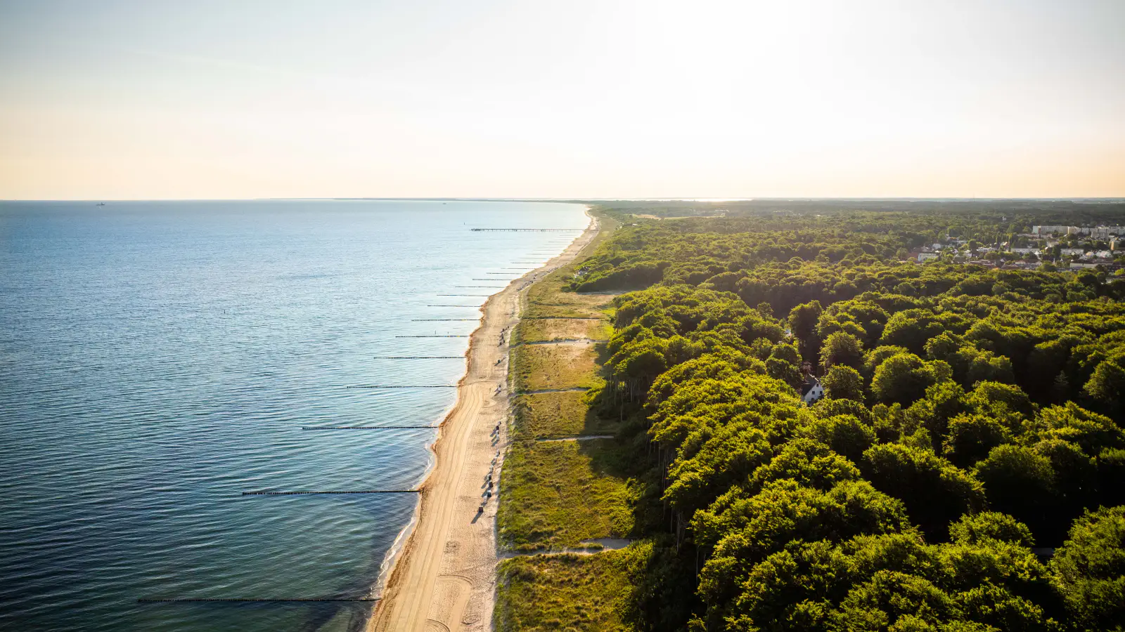 Luftbild der Küste von Graal-Müritz: links die Ostsee mit Buhnenreihen, in der Mitte der helle Sandstrand, rechts der geschlossene Küstenwald der Rostocker Heide bis zum Horizont.