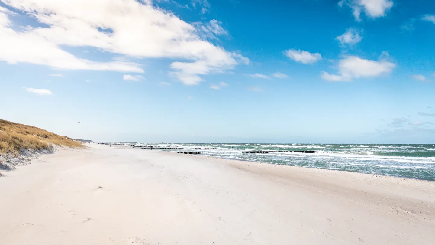 Weiter, menschenleerer Sandstrand bei Graal-Müritz; links Dünengras, rechts die Ostsee mit einer Buhnenreihe unter blauem Himmel mit Schäfchenwolken.